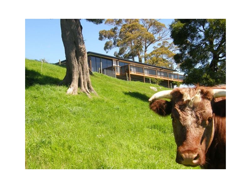 590 Natone Road, Natone TAS 7321