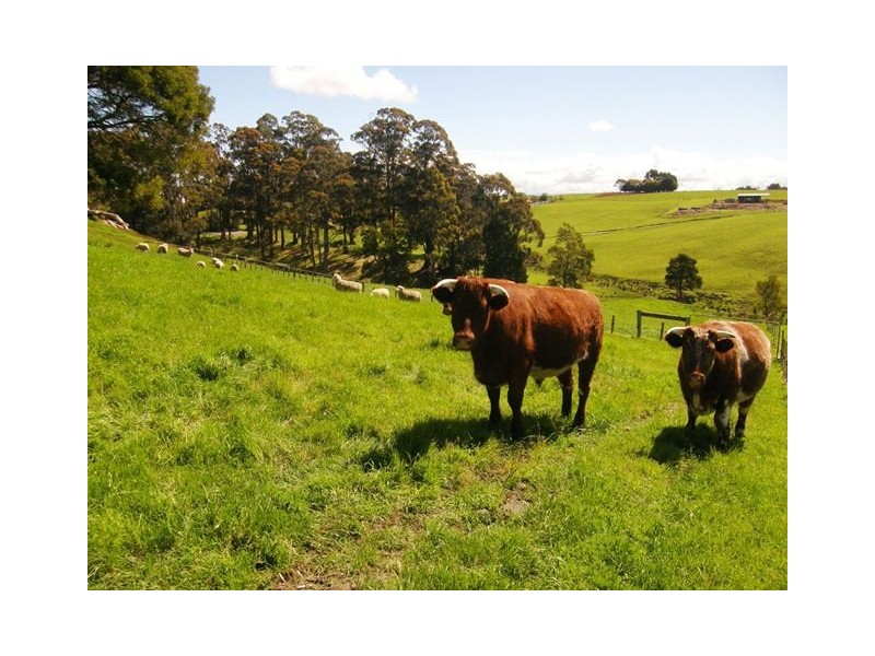 590 Natone Road, Natone TAS 7321