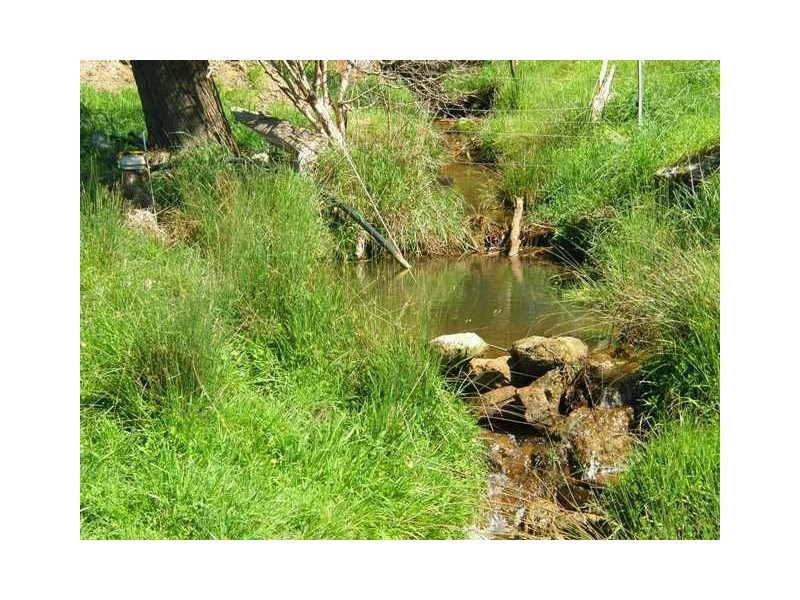 590 Natone Road, Natone TAS 7321