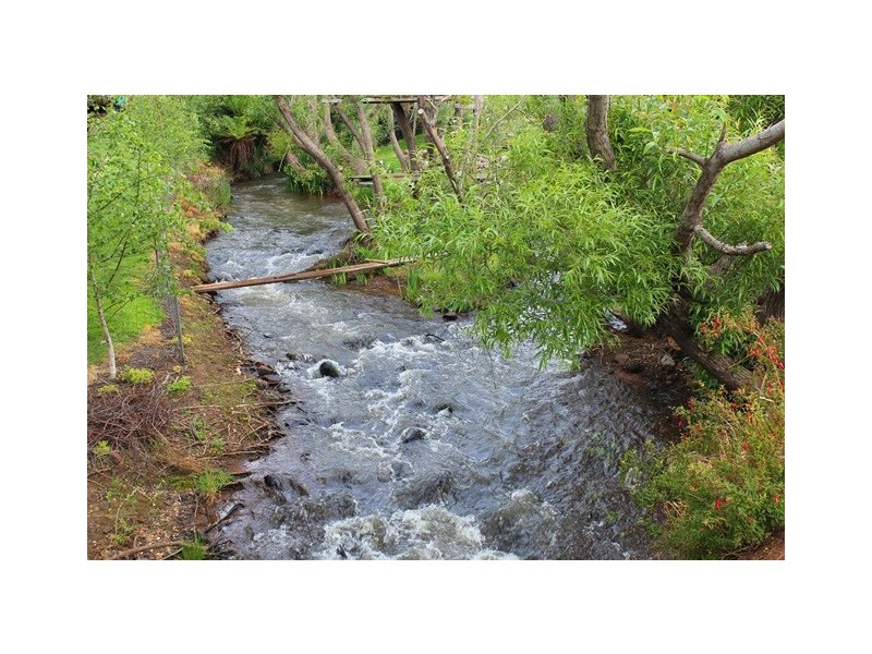 19 Waterford Drive, Sulphur Creek TAS 7316