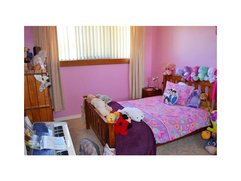 882 Ridgley Highway, Ridgley TAS 7321