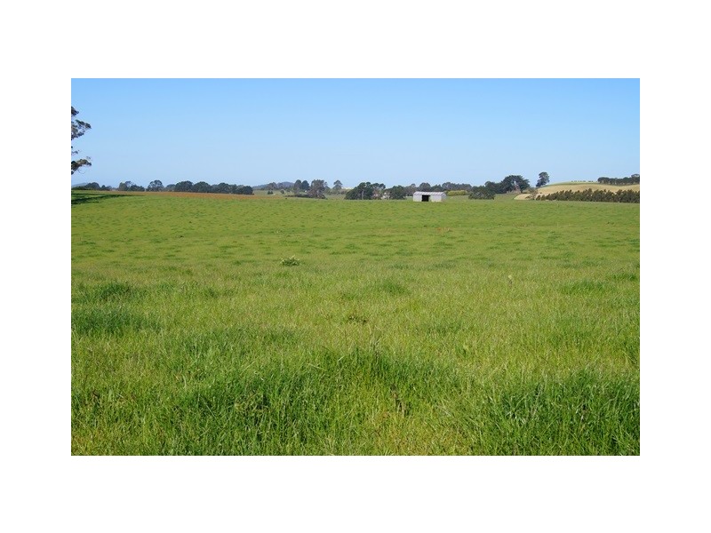 129 Laoona Road, Ridgley TAS 7321