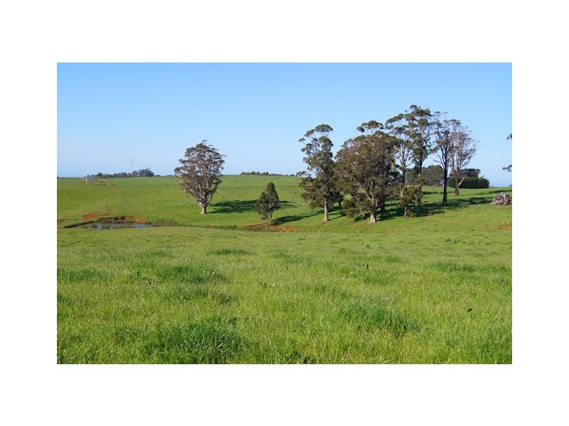 129 Laoona Road, Ridgley TAS 7321