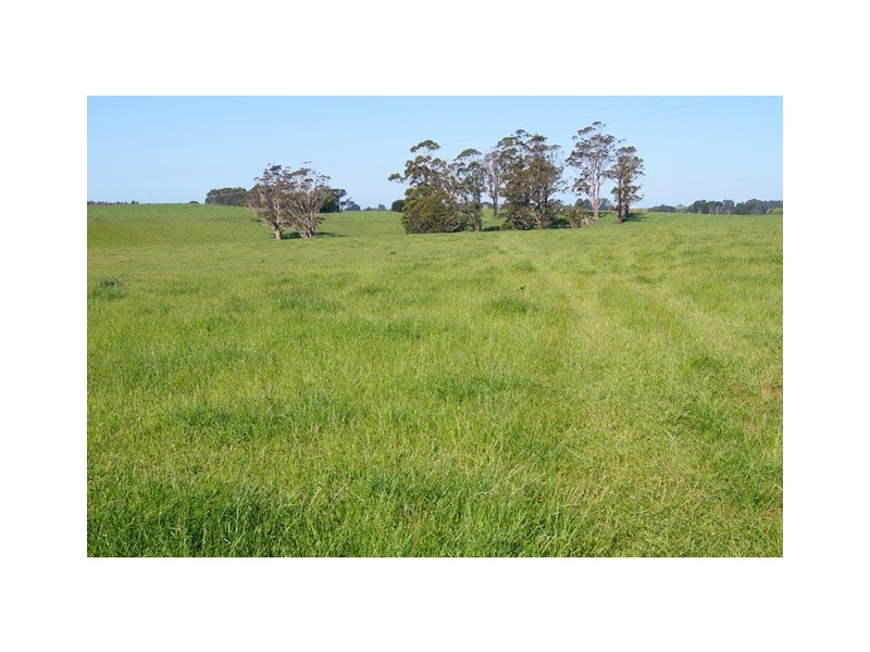 129 Laoona Road, Ridgley TAS 7321