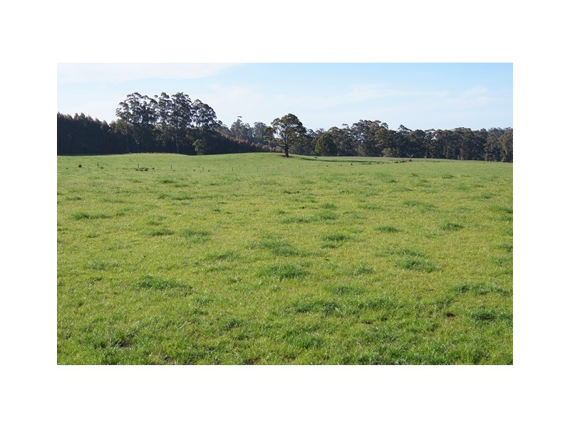 129 Laoona Road, Ridgley TAS 7321