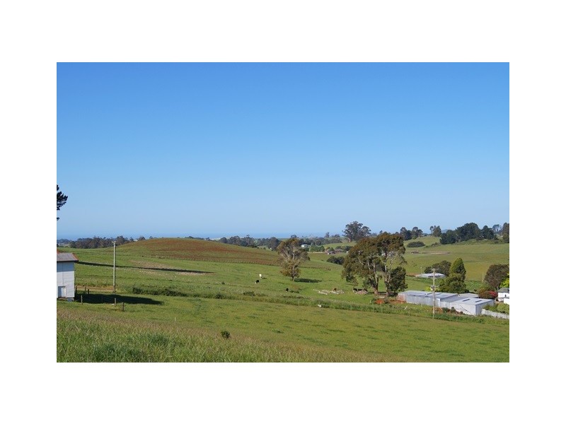 129 Laoona Road, Ridgley TAS 7321