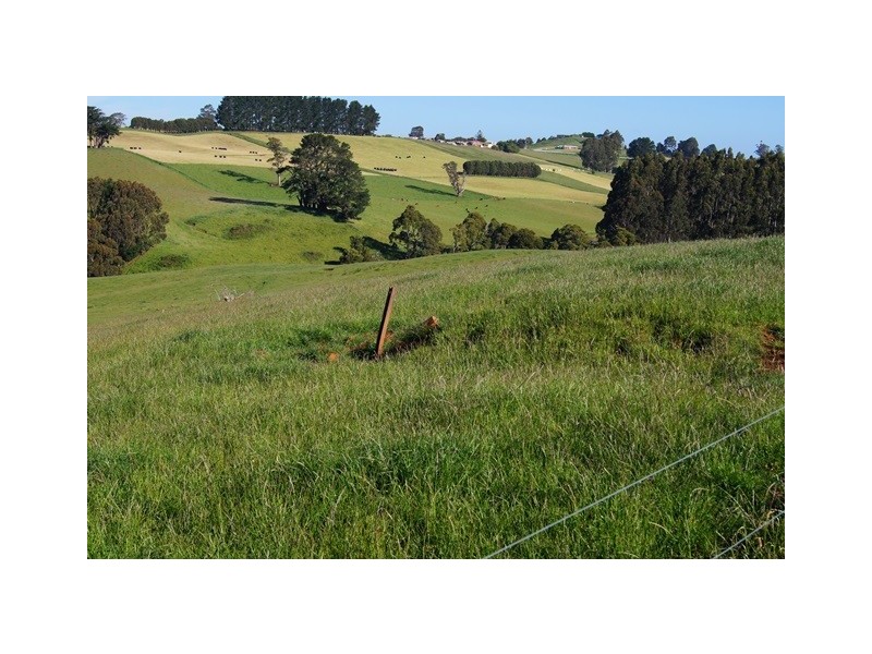 129 Laoona Road, Ridgley TAS 7321