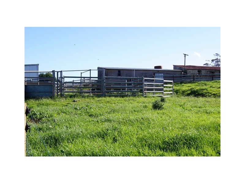 129 Laoona Road, Ridgley TAS 7321