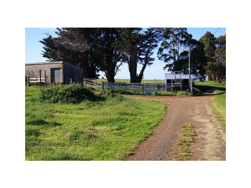 129 Laoona Road, Ridgley TAS 7321