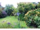 5 Rose Street, Wynyard TAS 7325