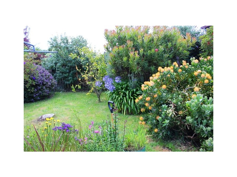 5 Rose Street, Wynyard TAS 7325