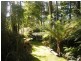 109 Pumping Station Road, Forth TAS 7310