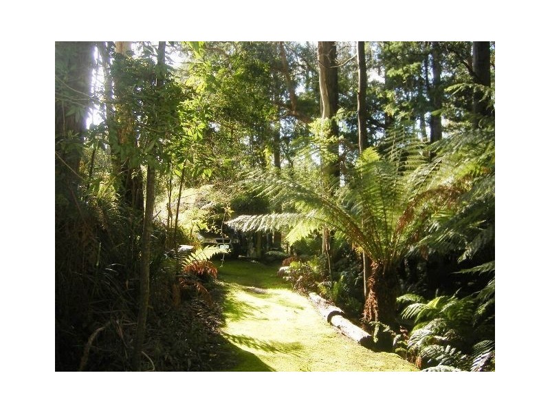 109 Pumping Station Road, Forth TAS 7310