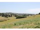 43 Jorgensen Street, Montello TAS 7320