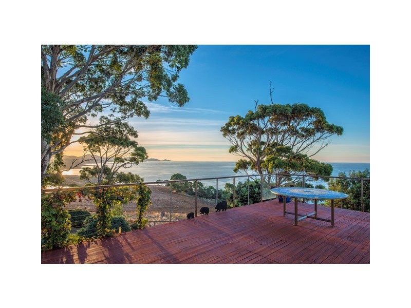494 Tollymore Road, Table Cape TAS 7325