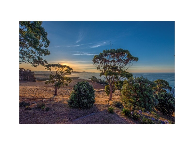 494 Tollymore Road, Table Cape TAS 7325