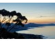 494 Tollymore Road, Table Cape TAS 7325