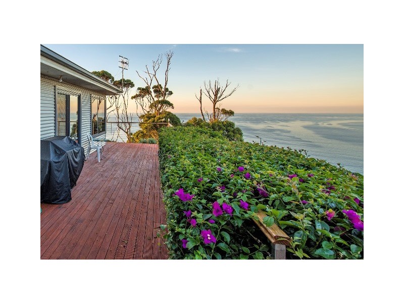 494 Tollymore Road, Table Cape TAS 7325