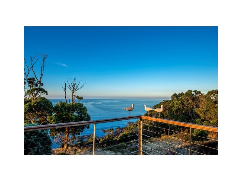 494 Tollymore Road, Table Cape TAS 7325