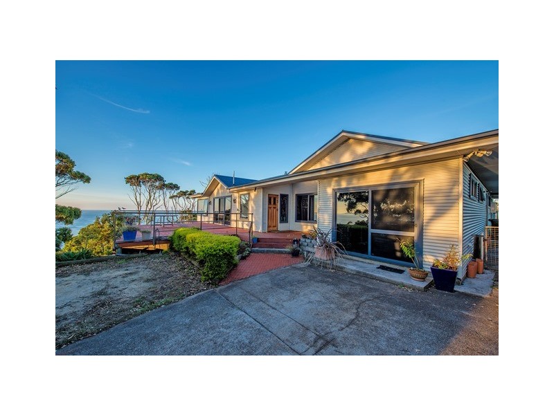 494 Tollymore Road, Table Cape TAS 7325
