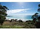 494 Tollymore Road, Table Cape TAS 7325