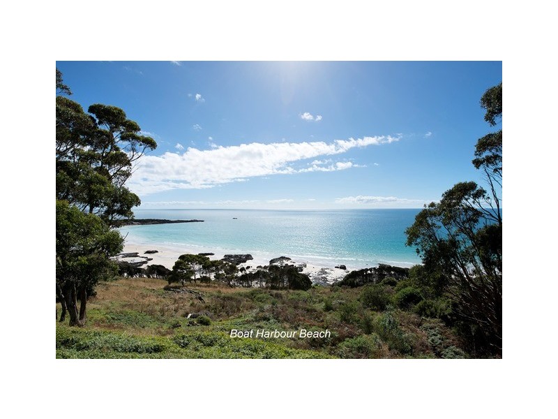 494 Tollymore Road, Table Cape TAS 7325