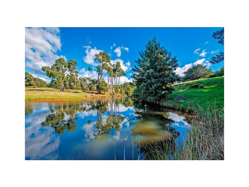 1159 Murchison Highway, Elliott TAS 7325