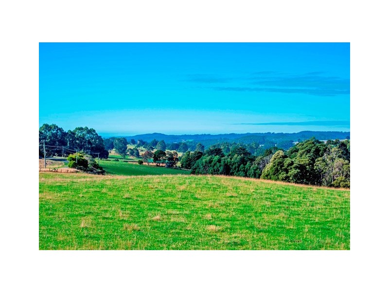1159 Murchison Highway, Elliott TAS 7325
