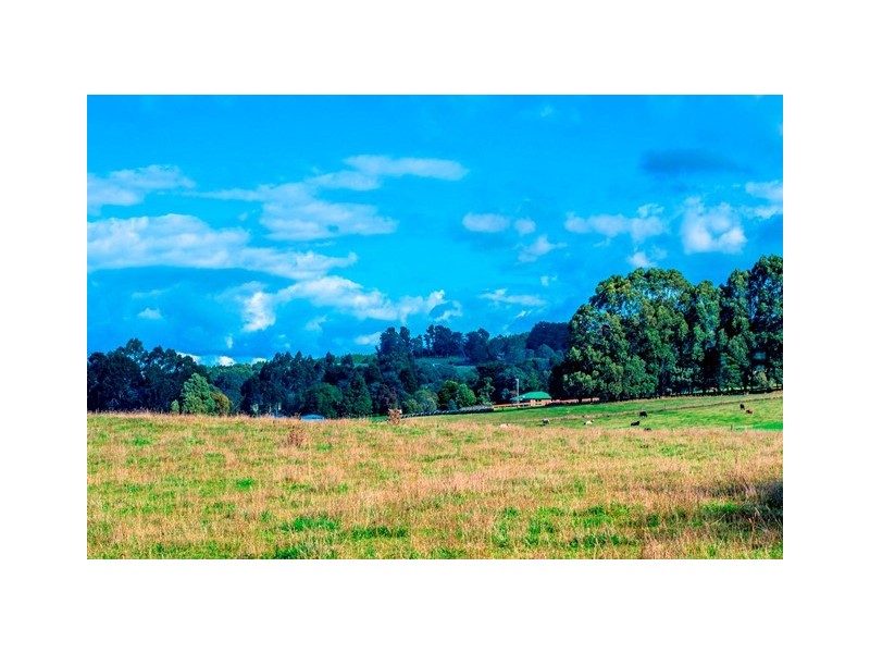 1159 Murchison Highway, Elliott TAS 7325