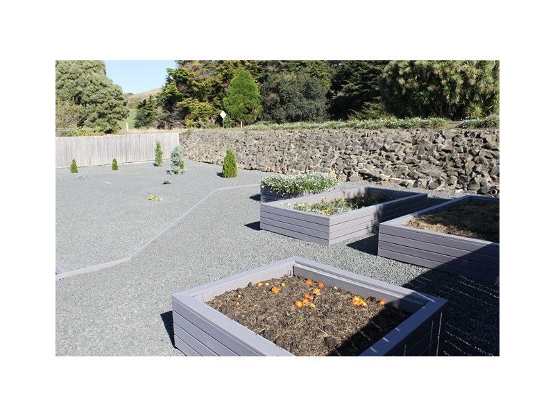 24 Coroneagh Street, Penguin TAS 7316