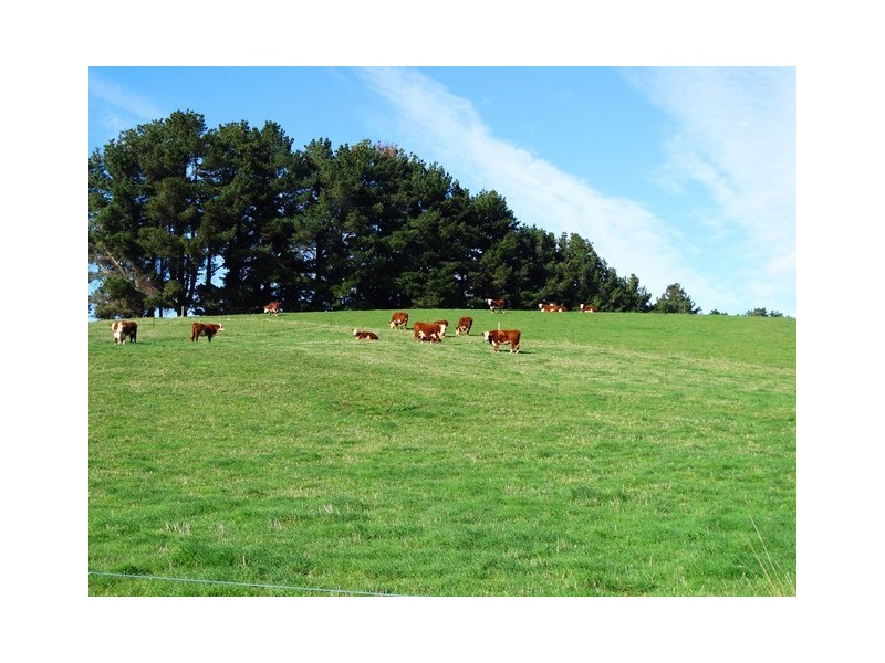 199 Upper Stowport Road, Stowport TAS 7321