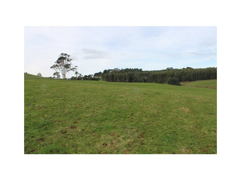 50 Lenna Road, East Ridgley TAS 7321