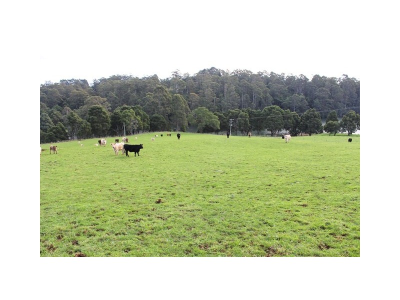 50 Lenna Road, East Ridgley TAS 7321