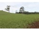 50 Lenna Road, East Ridgley TAS 7321