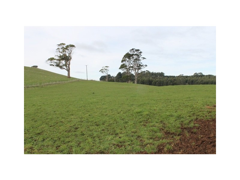 50 Lenna Road, East Ridgley TAS 7321