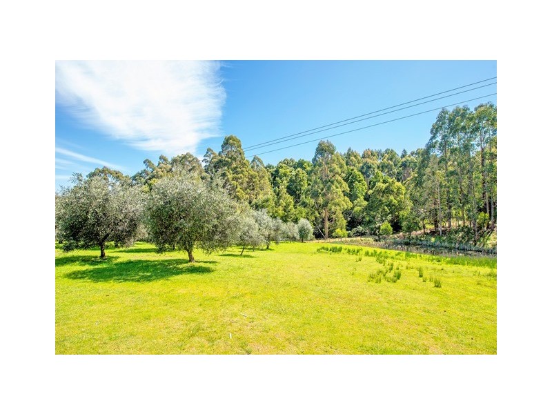 445 Coopers Lane, Wynyard TAS 7325