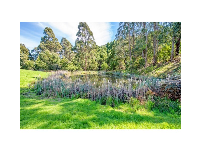 445 Coopers Lane, Wynyard TAS 7325