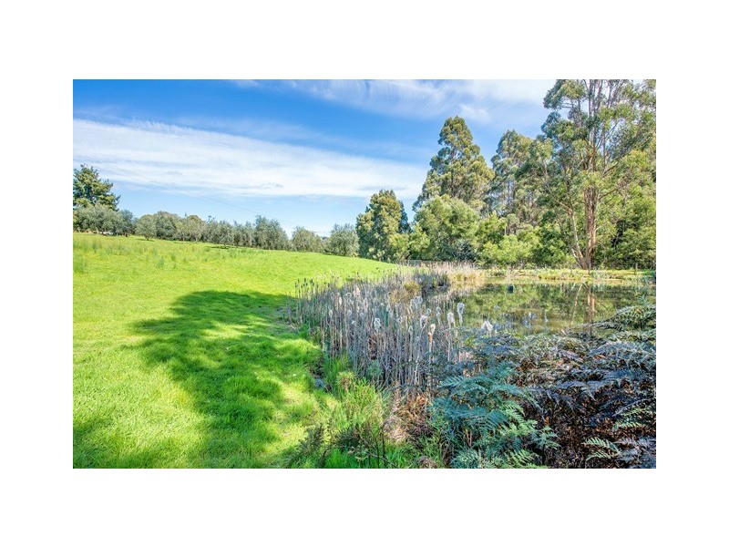 445 Coopers Lane, Wynyard TAS 7325