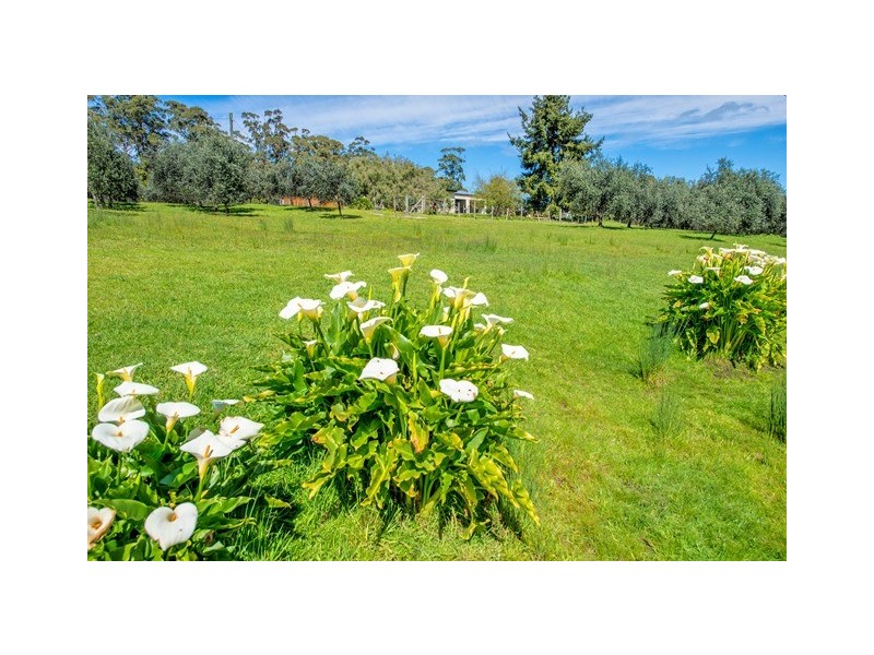 445 Coopers Lane, Wynyard TAS 7325