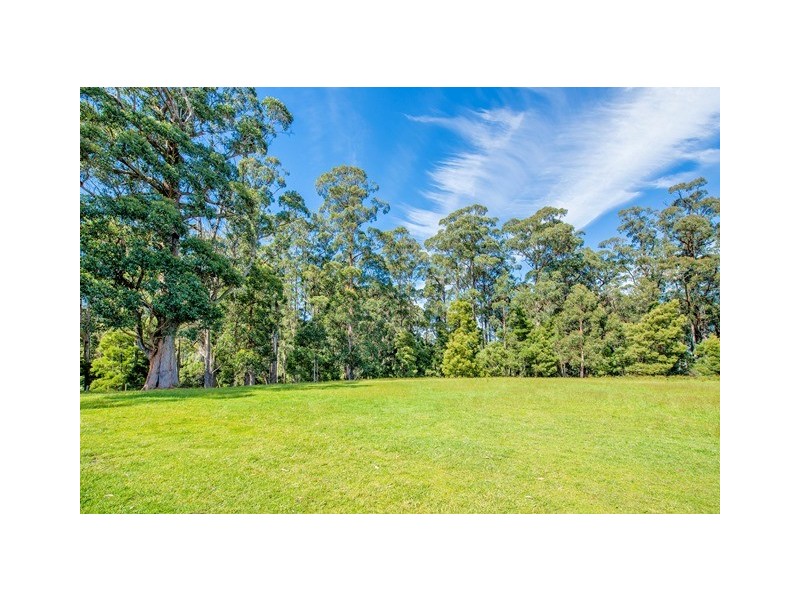 445 Coopers Lane, Wynyard TAS 7325