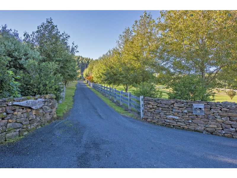 78 West Ridgley Road, Ridgley TAS 7321
