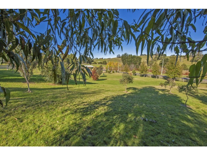 78 West Ridgley Road, Ridgley TAS 7321