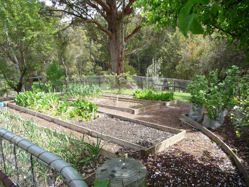 512 Back Cam Road, Somerset TAS 7322