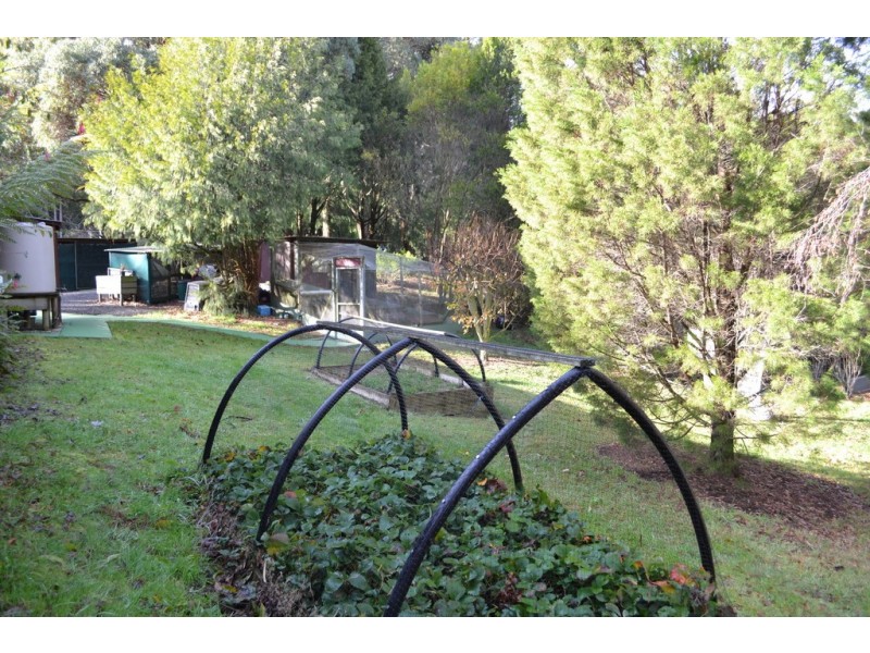 512 Back Cam Road, Somerset TAS 7322