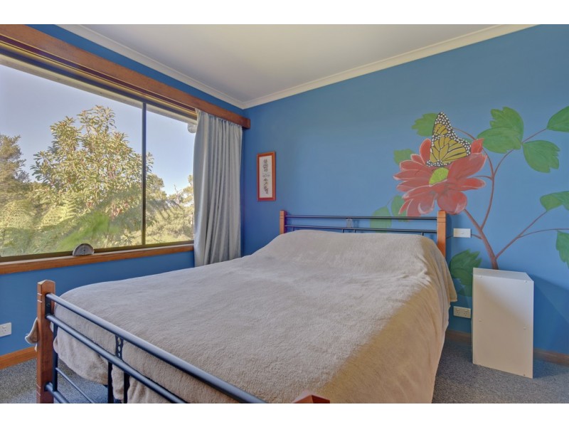 2333 Preolenna Road, Preolenna TAS 7325