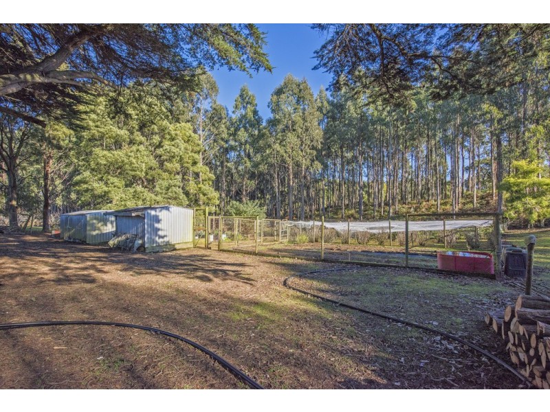 2333 Preolenna Road, Preolenna TAS 7325