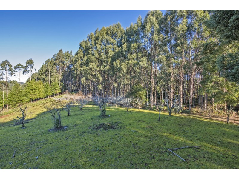 2333 Preolenna Road, Preolenna TAS 7325