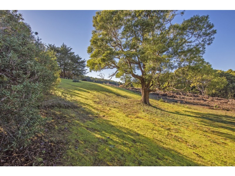 2333 Preolenna Road, Preolenna TAS 7325