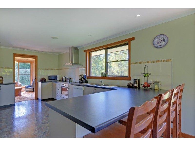 719 Circular Road, East Ridgley TAS 7321