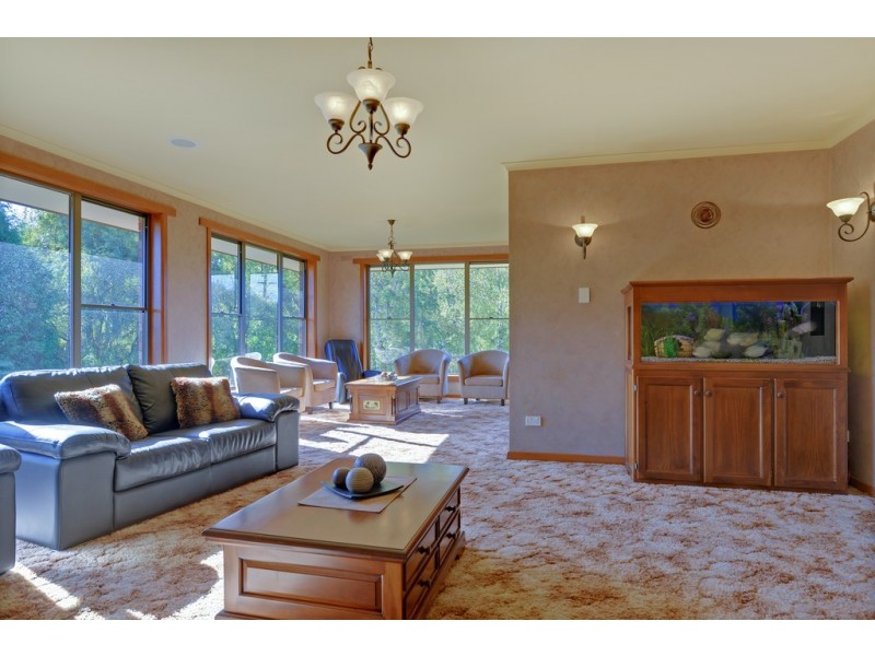 719 Circular Road, East Ridgley TAS 7321